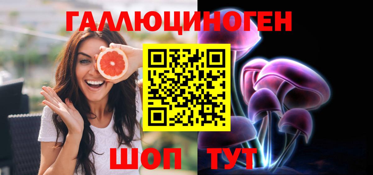 Протвино  Псилоцибиновые грибы MAGIC MUSHROOMS  Псилоцибиновые грибы мицелий  Вход с VPN 